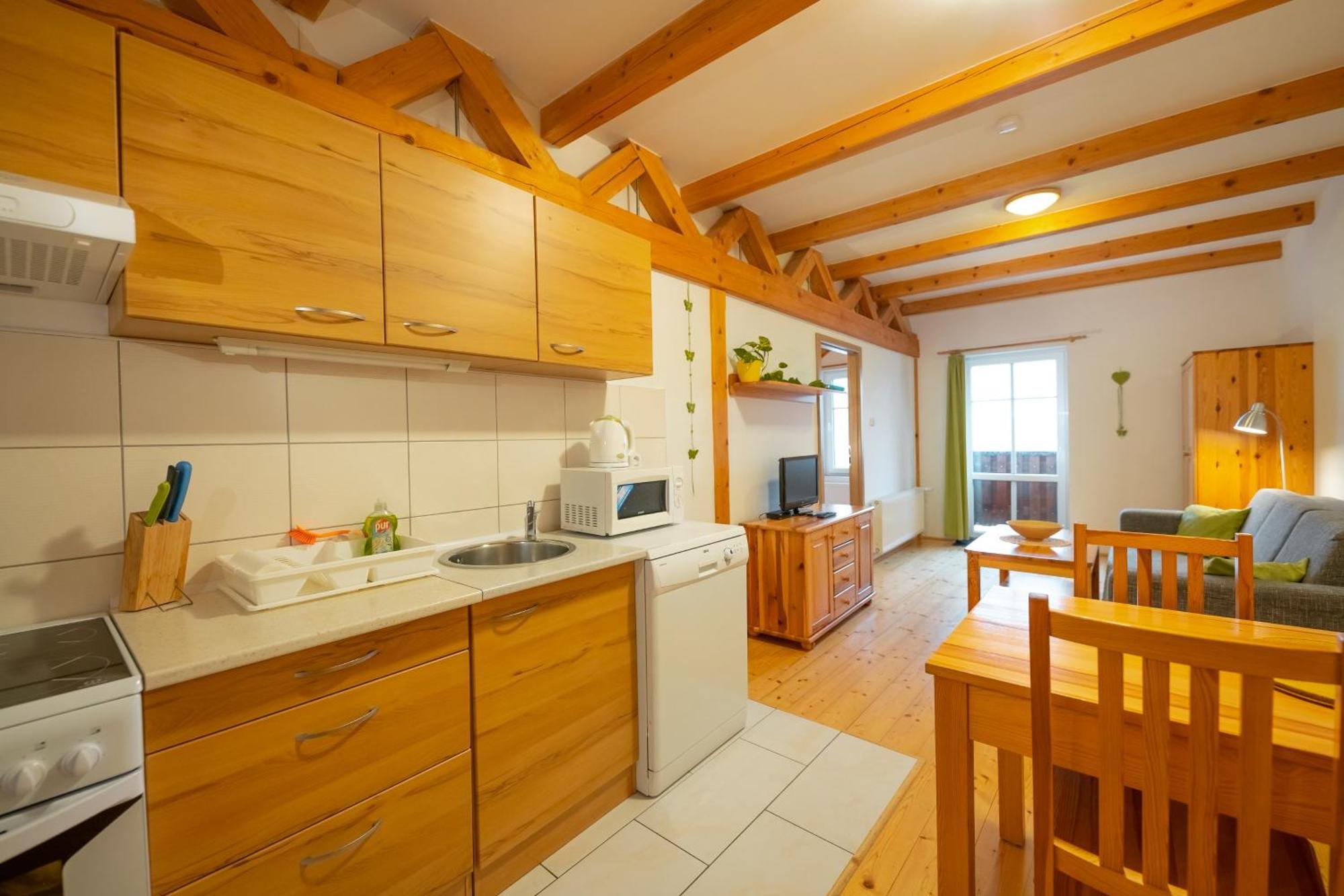 Sokolovna Appartement *