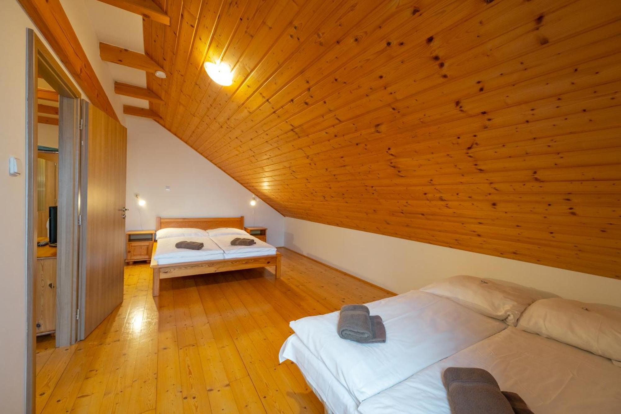 Apartment Sokolovna *