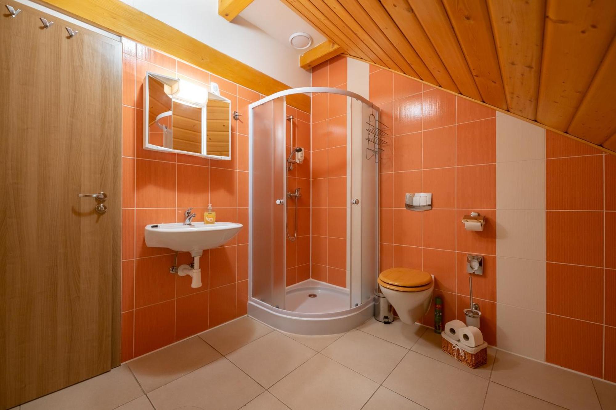 Apartment Sokolovna *