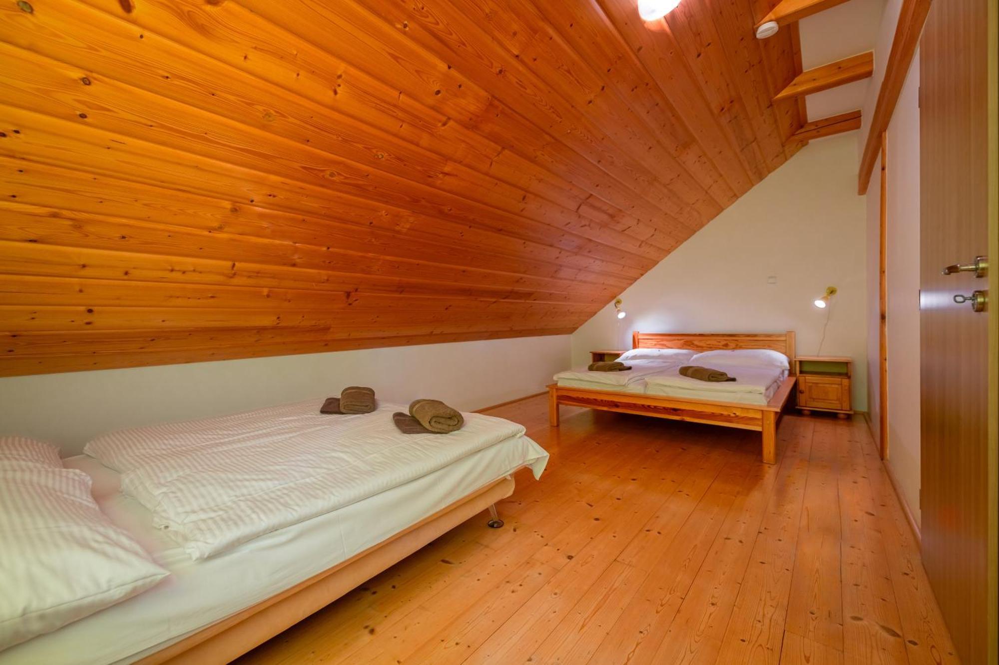 Sokolovna Appartement *