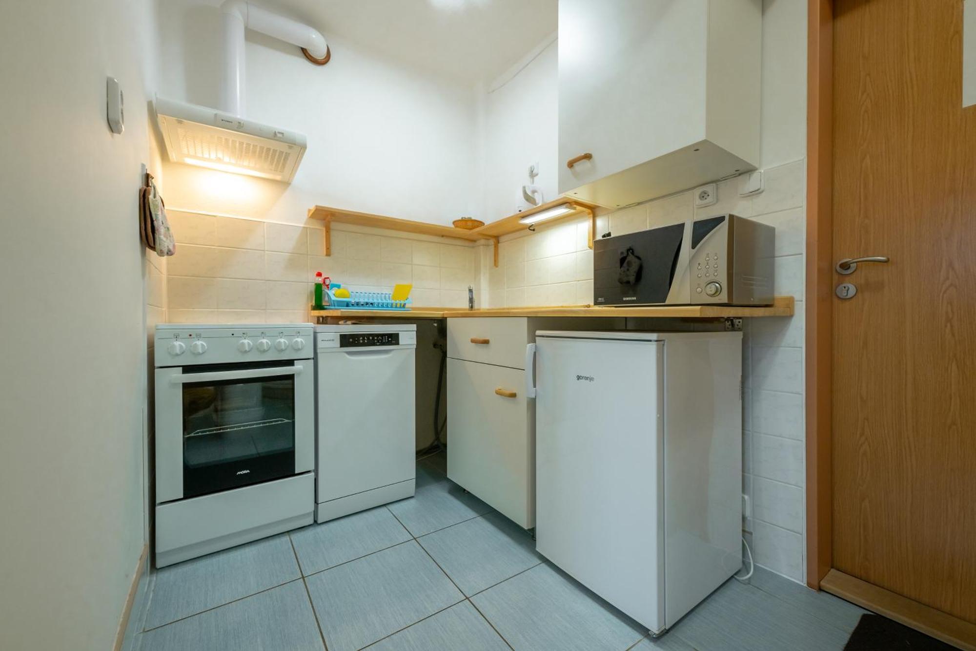 Sokolovna Apartment Kořenov